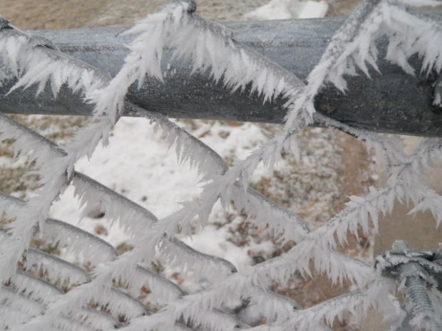 Frost